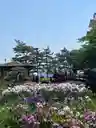 あめさんのプロフィール画像