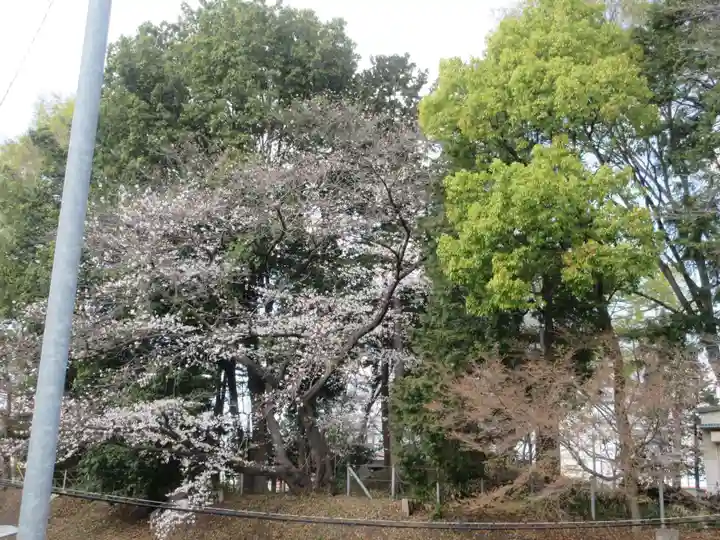 仙波氷川神社(埼玉県)