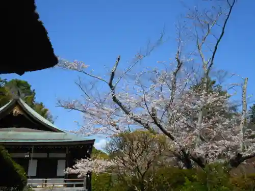 報国寺の景色