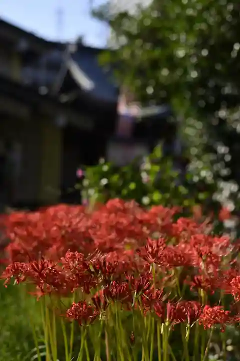 磐井神社の自然
