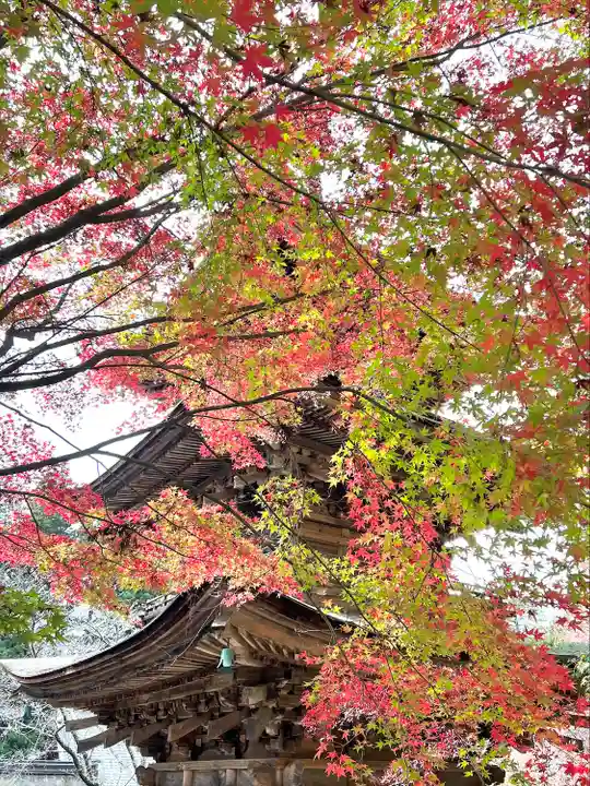 新海三社神社(長野県)