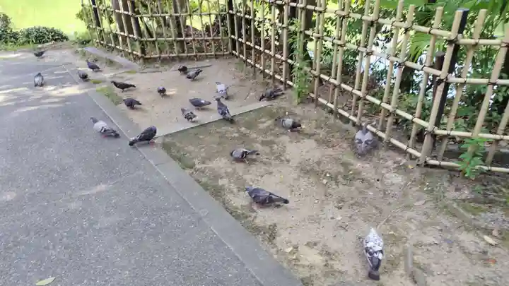嚴島神社 (京都御苑)(京都府)