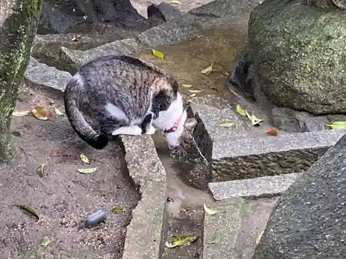 烏須井八幡神社(広島県)