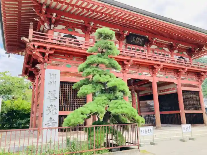 甲斐善光寺の山門・神門