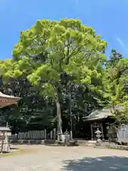 東大野八幡神社(福岡県)