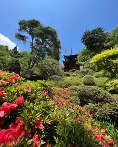 国宝 大法寺の庭園(2022年06月14日(火) 08時04分47秒投稿)