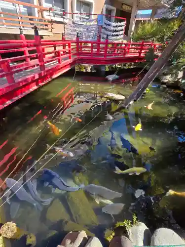 今泉八坂神社(栃木県)