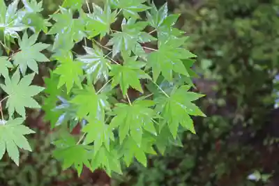 一條殿 新善光寺(京都府)
