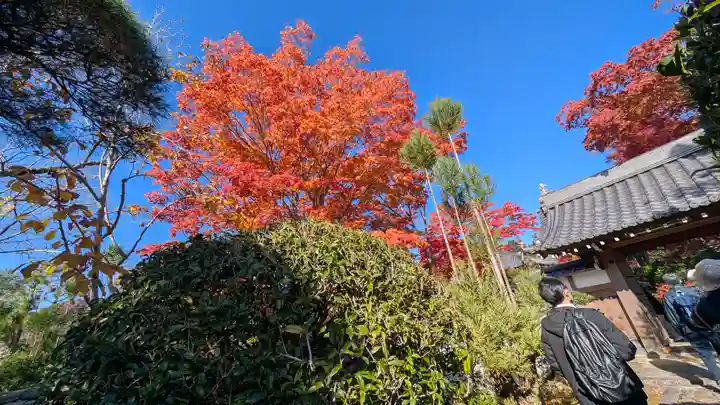 源光庵(京都府)