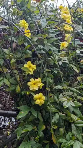 惠心院(京都府)