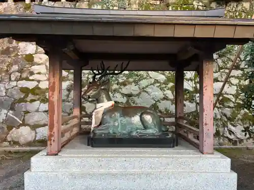 吉田神社の狛犬