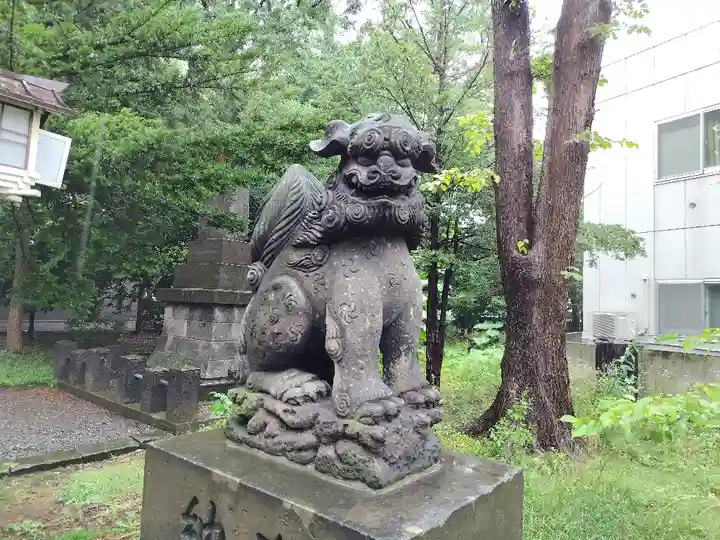 新琴似神社の狛犬