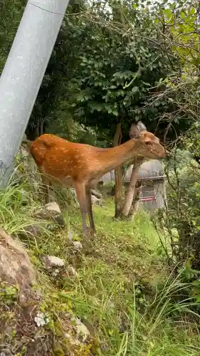 熊野那智大社(和歌山県)