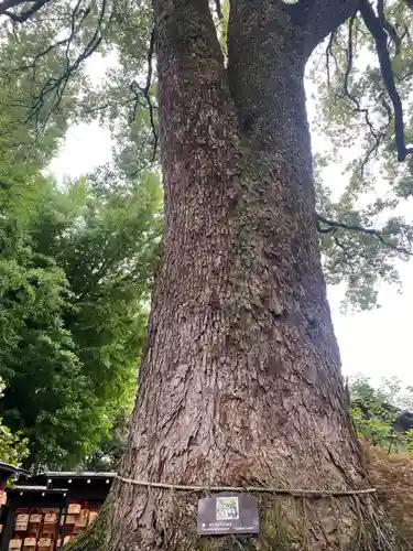 冠稲荷神社(群馬県)