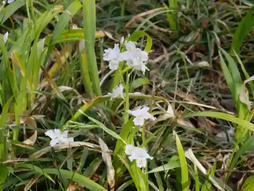 清水観音堂の自然