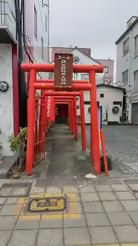 紋三郎稲荷神社の鳥居