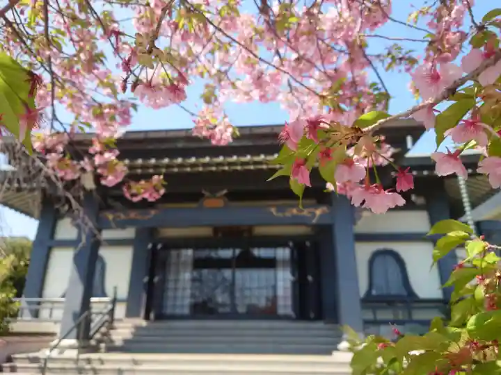 高長寺(神奈川県)