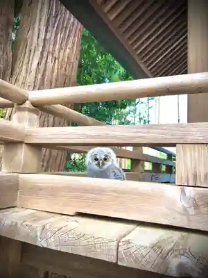 鹿嶋三嶋神社(茨城県)