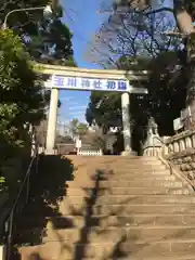 玉川神社の鳥居