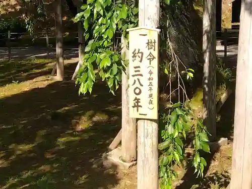 足羽神社(福井県)