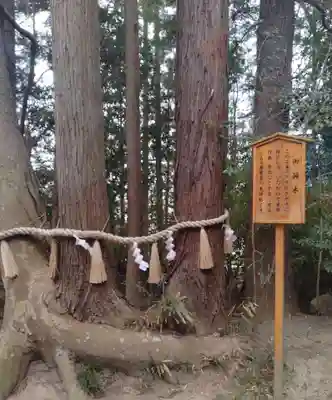 宇那禰神社(宮城県)