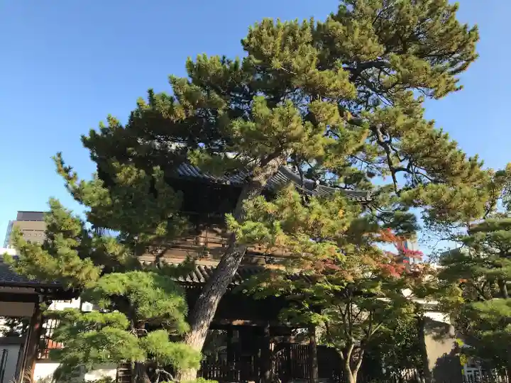 泉岳寺(東京都)