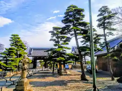 無量壽寺の自然