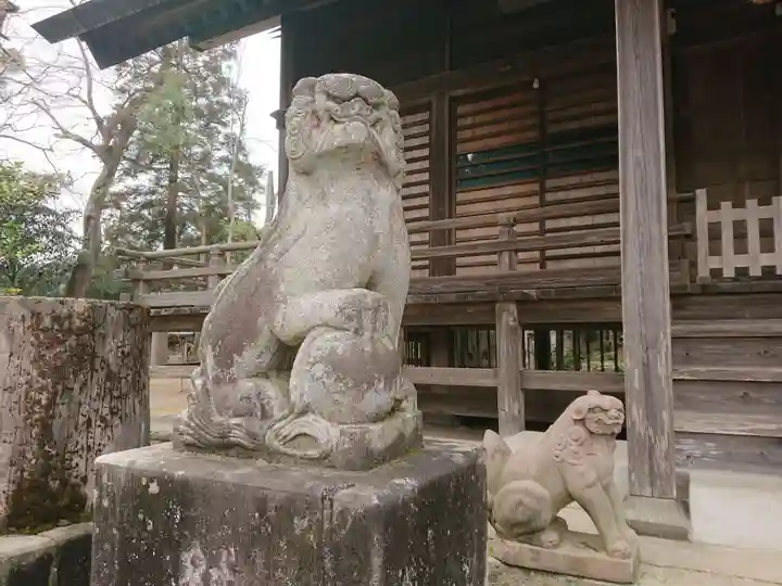 橘樹神社の狛犬