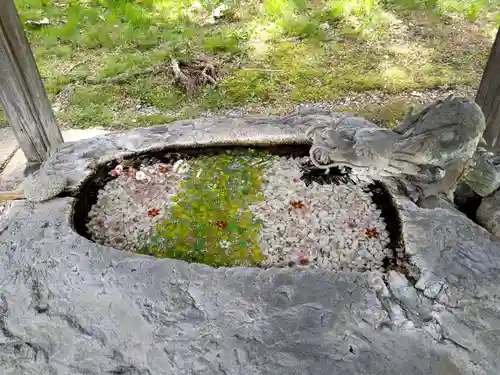 十勝護国神社の手水