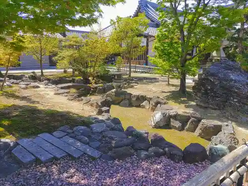 光明院（曼陀羅寺塔頭）の庭園