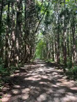 戸隠神社火之御子社の{uncategorized: "未分類", other: "その他", undefined: "問題あり", building: "その他建物", grave: "お墓", sacred_gate: "鳥居", guardian: "狛犬", statue: "像", buddha: "仏像", history: "歴史", nature: "自然", garden: "庭園", animal: "動物", pagoda: "塔", temizu: "手水舎", mountain_gate: "山門・神門", sanctuary: "本殿・本堂", subordinate: "末社・摂社", art: "芸術", scenery: "景色", jizo: "地蔵", ema: "絵馬", goshuin: "御朱印", omikuji: "おみくじ", items: "授与品その他", amulet: "お守り", goshuincho: "御朱印帳", eats: "食事", festival: "お祭り", votive_dance: "神楽", shichigosan: "七五三参", wedding: "結婚式", experience: "体験その他", initially: "初詣", around: "周辺", anti_infection: "感染症対策"}