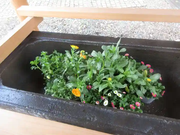上目黒氷川神社(東京都)