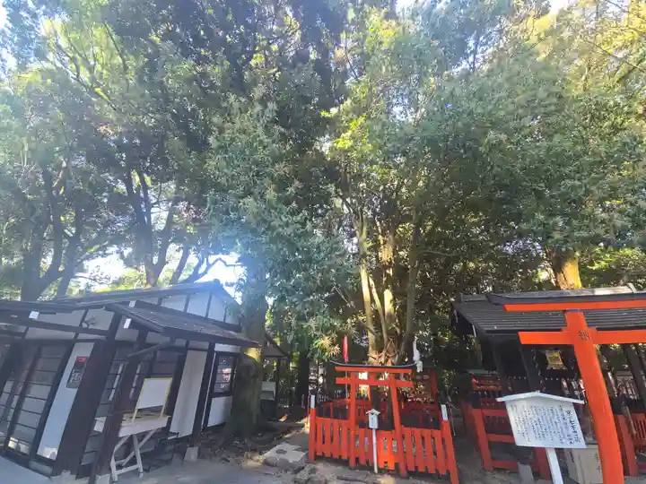賀茂御祖神社(下鴨神社)(京都府)