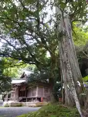 春日神社の自然