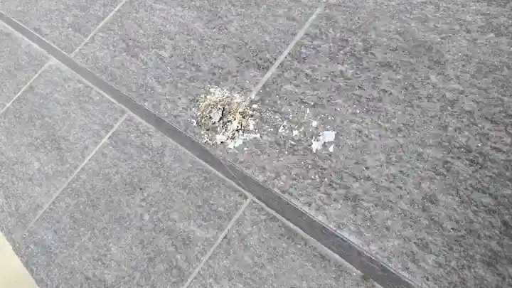 法雲寺(京都府)