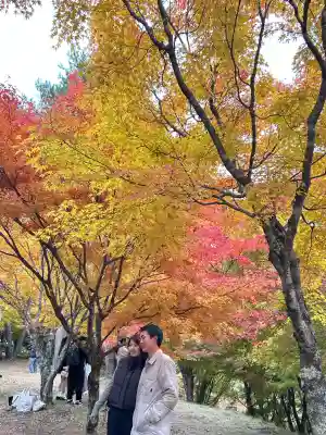 山神社(長野県)