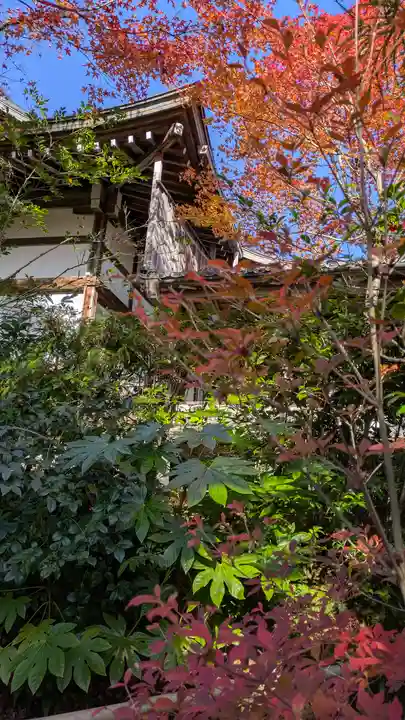 光悦寺(京都府)