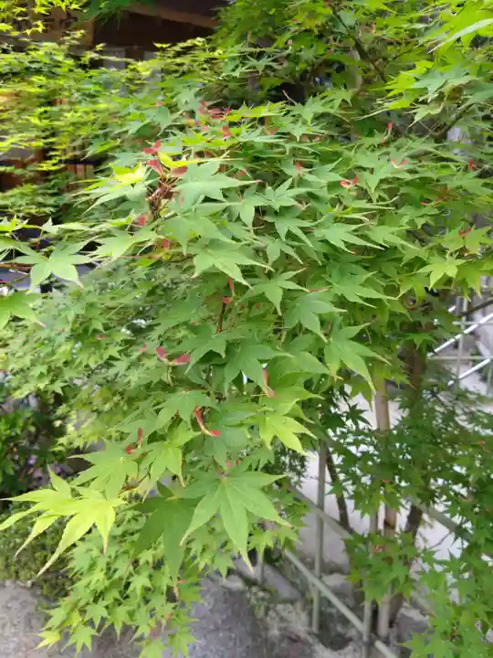 志賀海神社(福岡県)