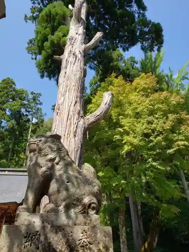 下梨地主神社の狛犬