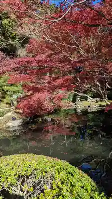 くろ谷 金戒光明寺(京都府)