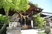 行田八幡神社の{uncategorized: "未分類", other: "その他", undefined: "問題あり", building: "その他建物", grave: "お墓", sacred_gate: "鳥居", guardian: "狛犬", statue: "像", buddha: "仏像", history: "歴史", nature: "自然", garden: "庭園", animal: "動物", pagoda: "塔", temizu: "手水舎", mountain_gate: "山門・神門", sanctuary: "本殿・本堂", subordinate: "末社・摂社", art: "芸術", scenery: "景色", jizo: "地蔵", ema: "絵馬", goshuin: "御朱印", omikuji: "おみくじ", items: "授与品その他", amulet: "お守り", goshuincho: "御朱印帳", eats: "食事", festival: "お祭り", votive_dance: "神楽", shichigosan: "七五三参", wedding: "結婚式", experience: "体験その他", initially: "初詣", around: "周辺", anti_infection: "感染症対策"}