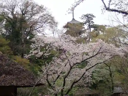 根岸八幡神社(神奈川県)