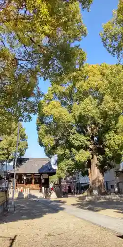 島頭天満宮(大阪府)