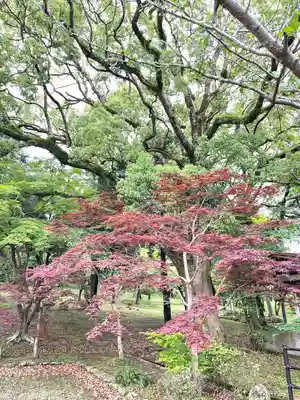 橘神社(長崎県)
