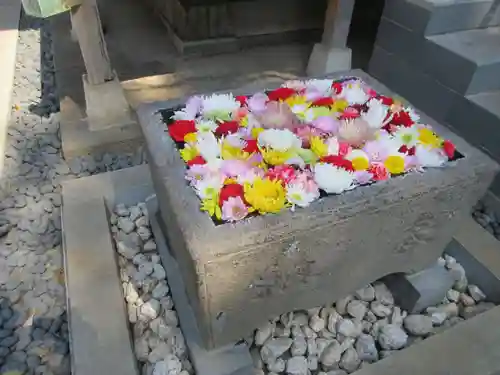 観音寺(東京都)