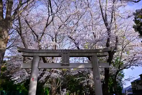 前原御嶽神社の鳥居