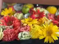 帯廣神社の手水舎