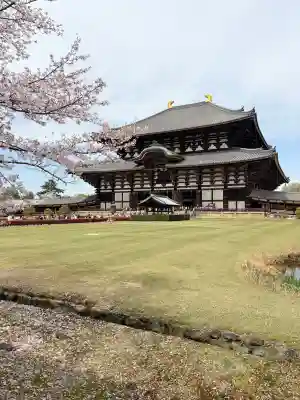 東大寺の{uncategorized: "未分類", other: "その他", undefined: "問題あり", building: "その他建物", grave: "お墓", sacred_gate: "鳥居", guardian: "狛犬", statue: "像", buddha: "仏像", history: "歴史", nature: "自然", garden: "庭園", animal: "動物", pagoda: "塔", temizu: "手水舎", mountain_gate: "山門・神門", sanctuary: "本殿・本堂", subordinate: "末社・摂社", art: "芸術", scenery: "景色", jizo: "地蔵", ema: "絵馬", goshuin: "御朱印", omikuji: "おみくじ", items: "授与品その他", amulet: "お守り", goshuincho: "御朱印帳", eats: "食事", festival: "お祭り", votive_dance: "神楽", shichigosan: "七五三参", wedding: "結婚式", experience: "体験その他", initially: "初詣", around: "周辺", anti_infection: "感染症対策"}