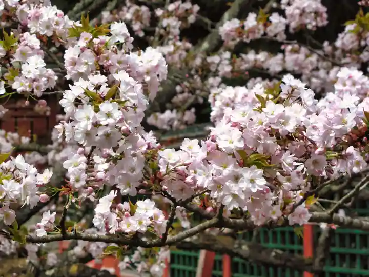 志波彦神社・鹽竈神社(宮城県)