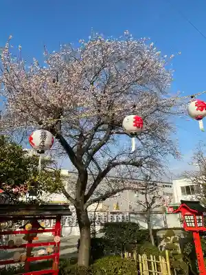 尾張猿田彦神社(愛知県)